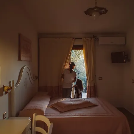 Barbagia 3* دورغالي