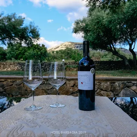 Hotel Barbagia 3*